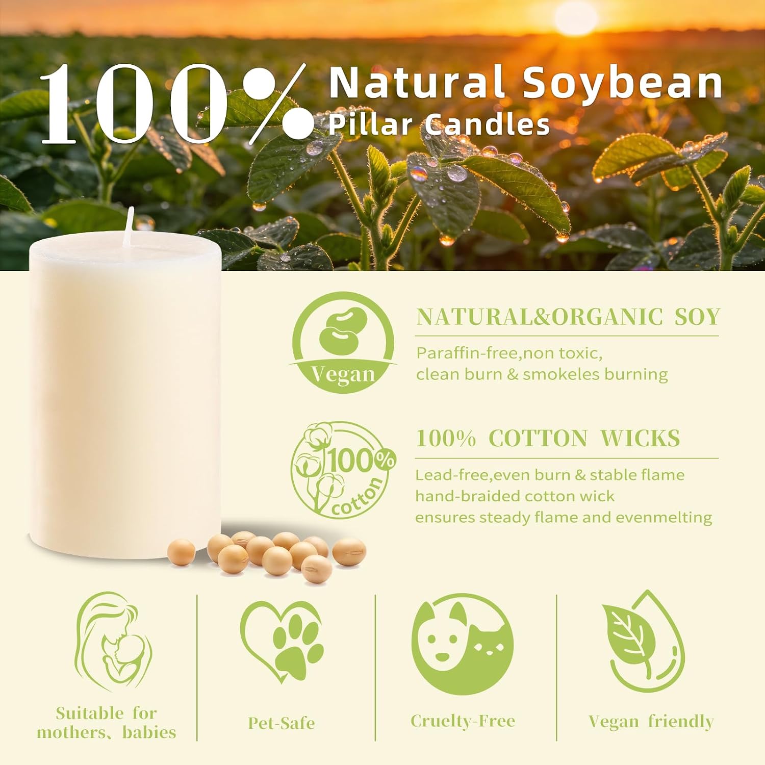 12-Pack Unscented Creamy White Pillar Candles