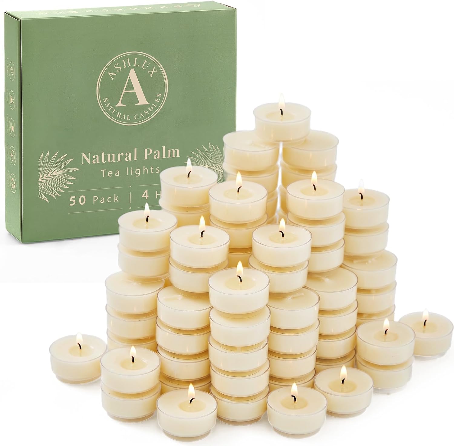 50-Pack Unscented Palm Tea Lights